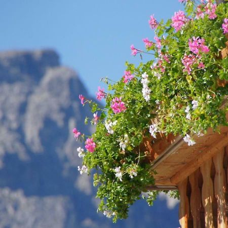 Agriturismo Grones San Martino in Badia Exteriör bild